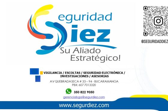 SEGURIDAD DIEZ