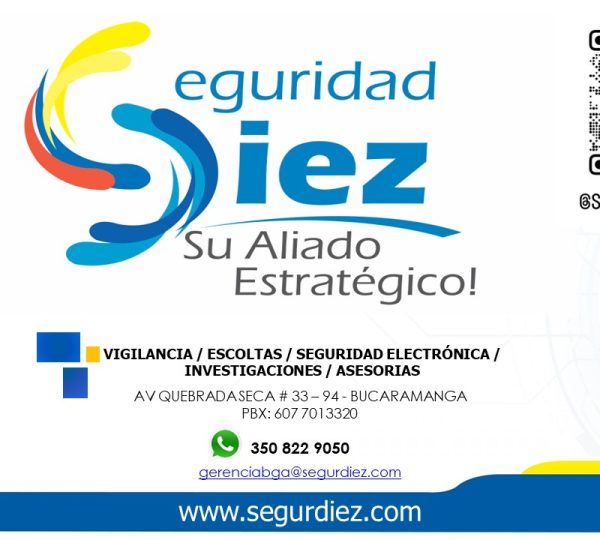 SEGURIDAD DIEZ