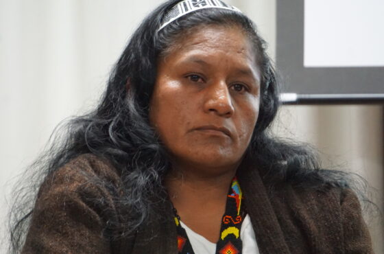 Aída Quilcué: liderazgo indígena en la fórmula vicepresidencial del Pacto Histórico