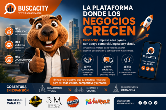 Buscacity: la plataforma que impulsa el crecimiento de las pymes en Colombia