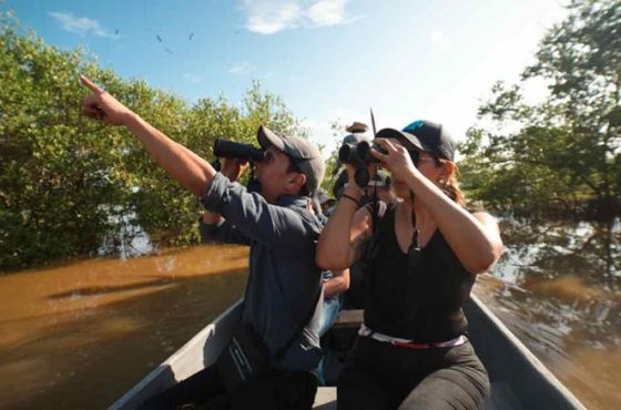 Colombia, el País de la Belleza: vuelve al Primer Lugar Mundial de avistamiento de aves.