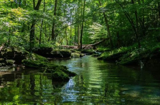 Parques Nacionales Naturales favoritos de los colombianos y extranjeros