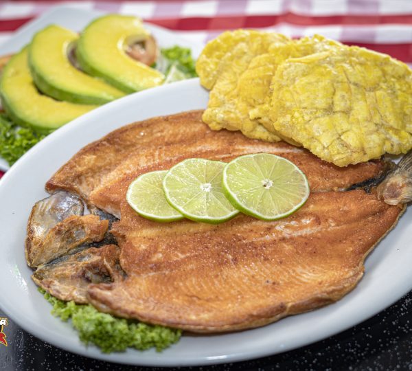 HERNANDO PARRILLA Mega Moll