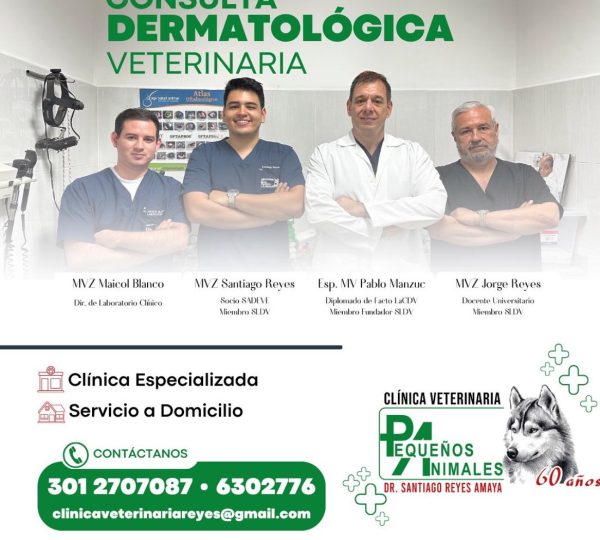 Clínica Veterinaria Pequeños Animales.