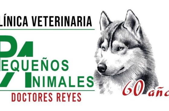 Clínica Veterinaria Pequeños Animales.