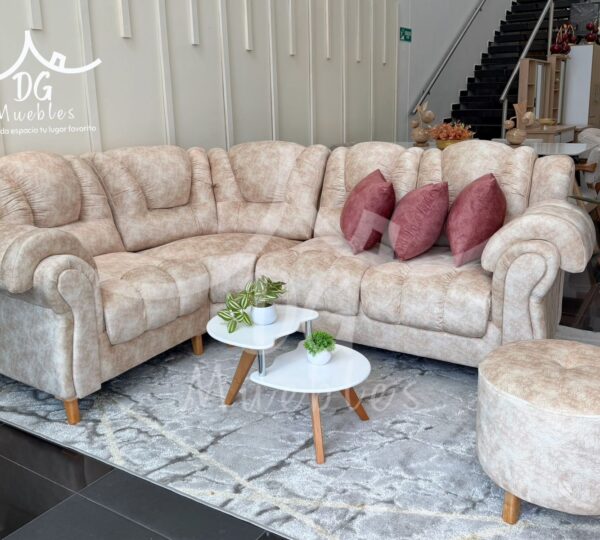 D G Muebles y Somieres.