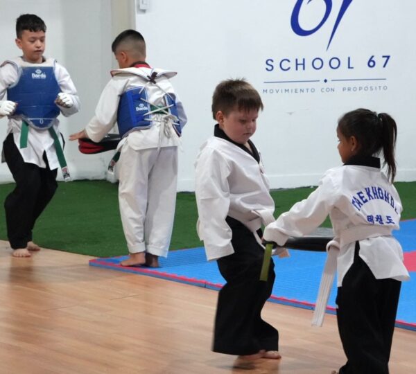 School 67