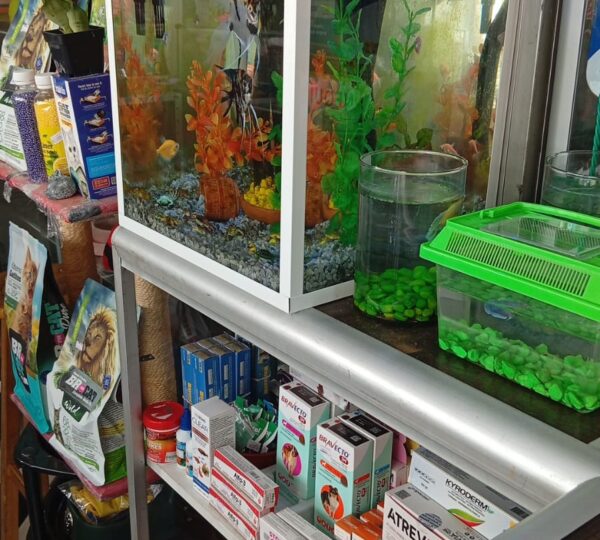 PET CITY Tienda de Mascotas.