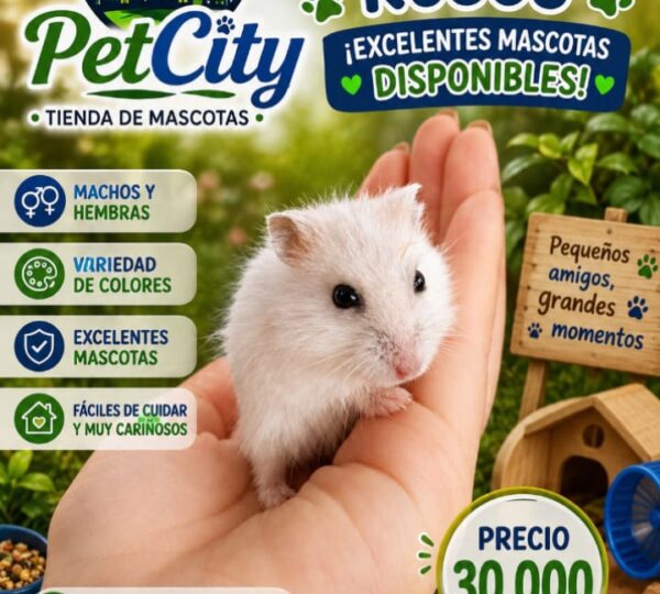 PET CITY Tienda de Mascotas.