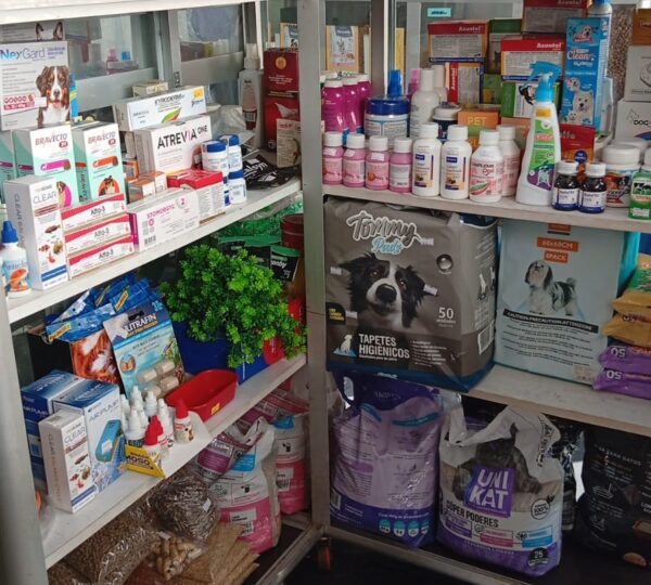 PET CITY Tienda de Mascotas.
