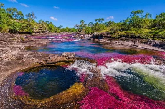 Los tres ríos de colores más lindos e imperdibles de Colombia.